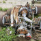 Scania rear axle