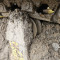 Komatsu D65EX-12