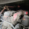 IVECO-FORD 170E23