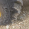 Caterpillar 428 F