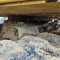 Caterpillar 303 CR