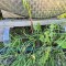 Stainless steel tank
