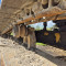 Liebherr R 954 V Litronic