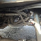 Terex AC 35 L