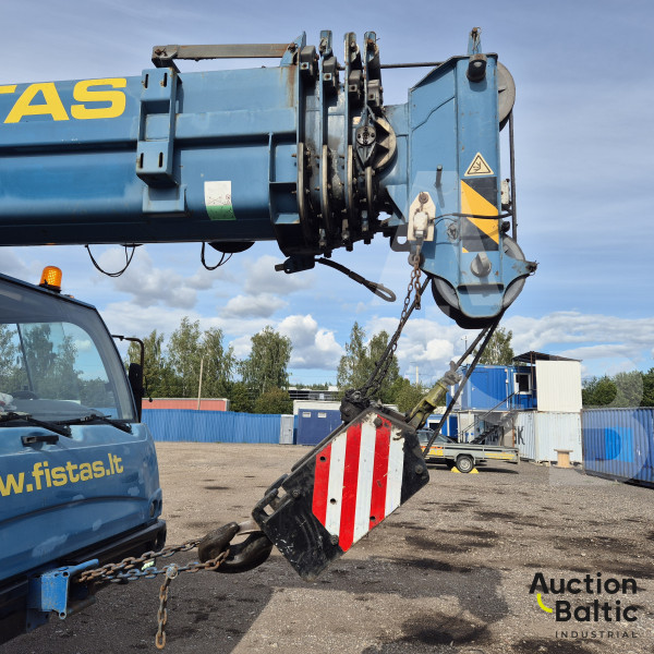 Terex AC 35 L