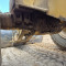 Caterpillar 930 H