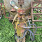 Sprayer