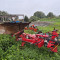Agrolux HRT 5975 AX