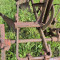 Horse-drawn plow