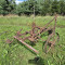 Horse-drawn plow