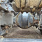 Iveco AS440T/P