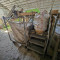 Waste sorting line