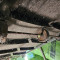 Waste sorting line
