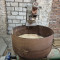 Sawdust dryer