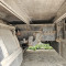 Nissan U714