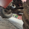 Manitou MT 732