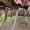 Horsch 	Focus 4 TD