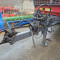 Metal-Fach Taurus N272/2