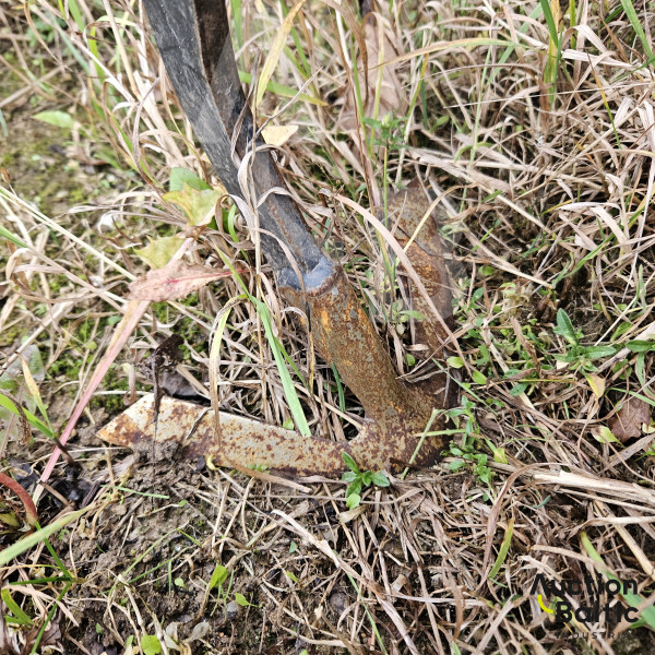 K.U.L.T. 	Fingerweeder