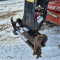 Manitou MT 1840 A