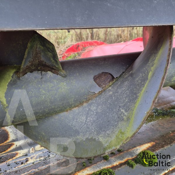 Ziegler Zchte-Corn Champion