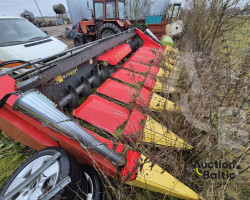 Ziegler Zchte-Corn Champion