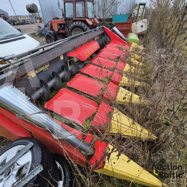 Ziegler Zchte-Corn Champion