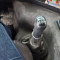 Volvo FM12