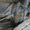 Scania P 114 LB