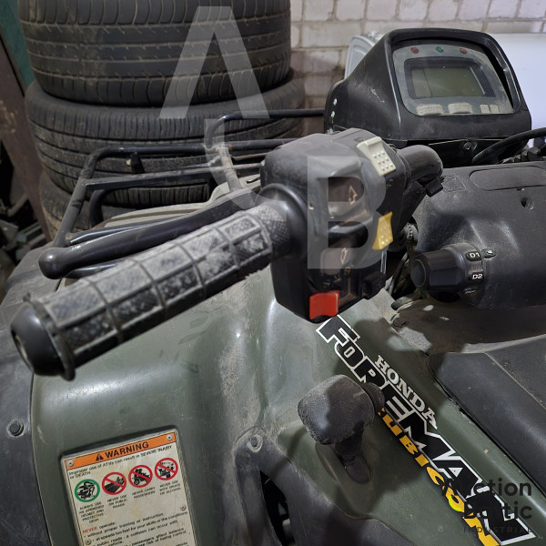 Honda Foreman Rubicon