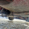 Scania  R144LB6X2NB460
