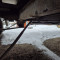 Fiat Ducato Maxi 2,8 JTD
