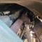 VW-MAN 8.136