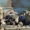 Gaz 53