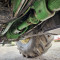 John Deere 6210 R