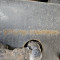 Renault C