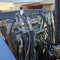 CASE WX 145