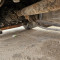 MAN TGX18.440
