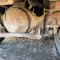 Volvo FM12 6X4
