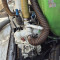 DAF FA LF45G08