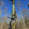 Ponsse S15-6X6