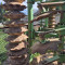 Cultivator