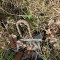 Soil leveling beam