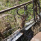 Soil leveling beam