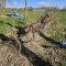 Soil leveling beam