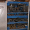 Wood sanding machine