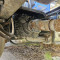 MAN TGX 18.460 + MCCAULEY 3136