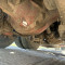 Scania R580