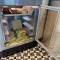 Subway 4-tier bread display cabinet 230V