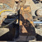 Grapple bucket